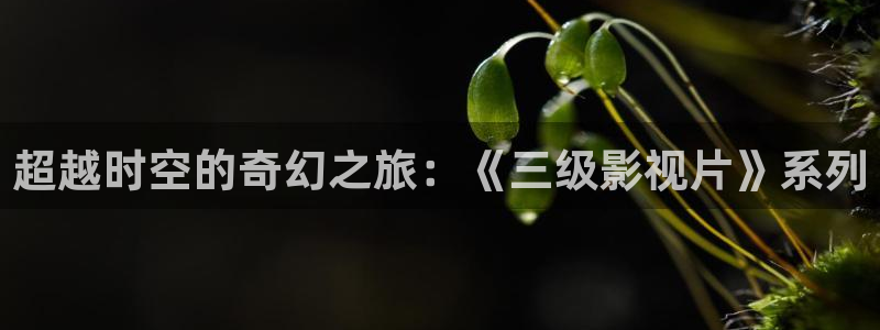 樱桃私人影院在线观看