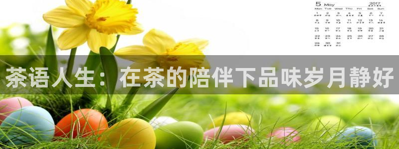 樱桃私人影院在线看