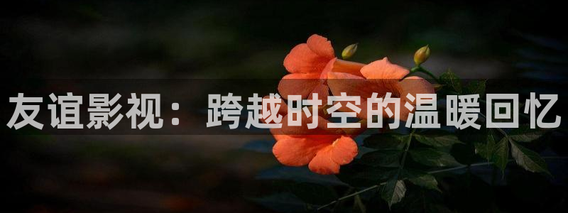 樱桃在线观看免费